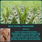 PAYPAL TRANSFERS PROVIDER