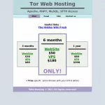 Tor Web Hosting